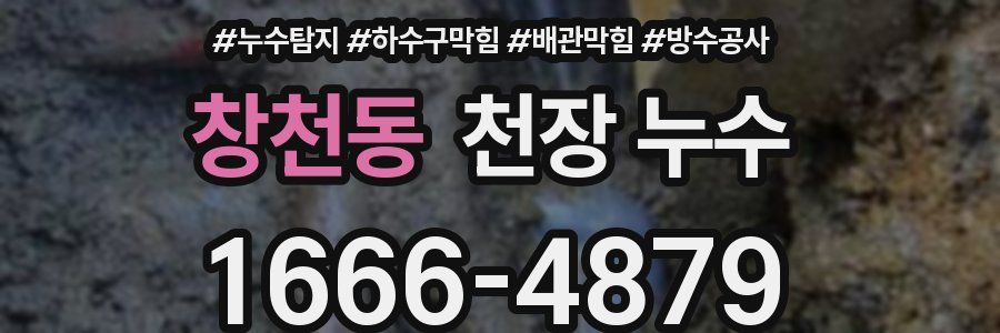 창천동 천장 누수