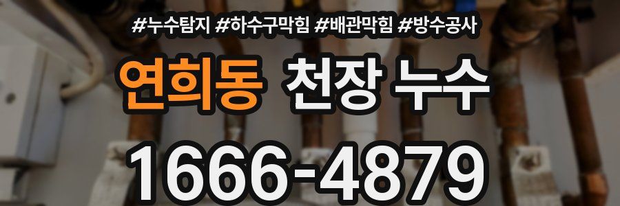 연희동 천장 누수