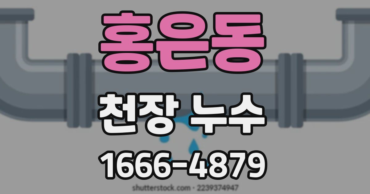 홍은동 천장 누수
