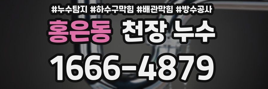 홍은동 천장 누수