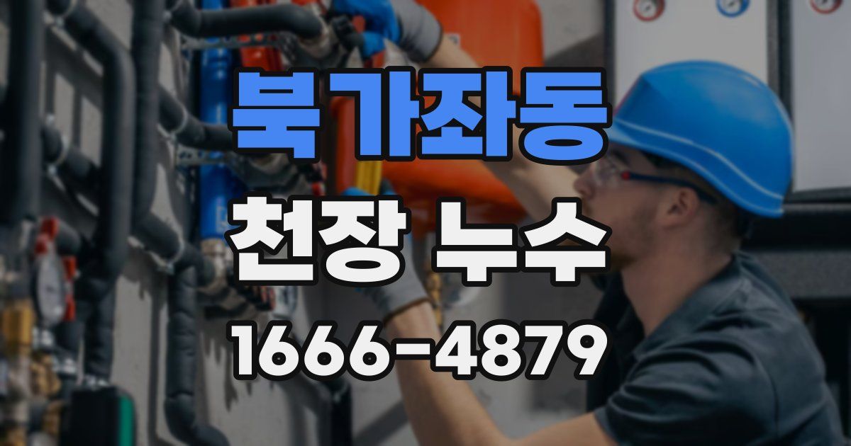 북가좌동 천장 누수