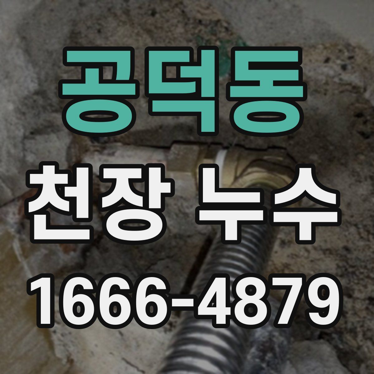 공덕동 천장 누수