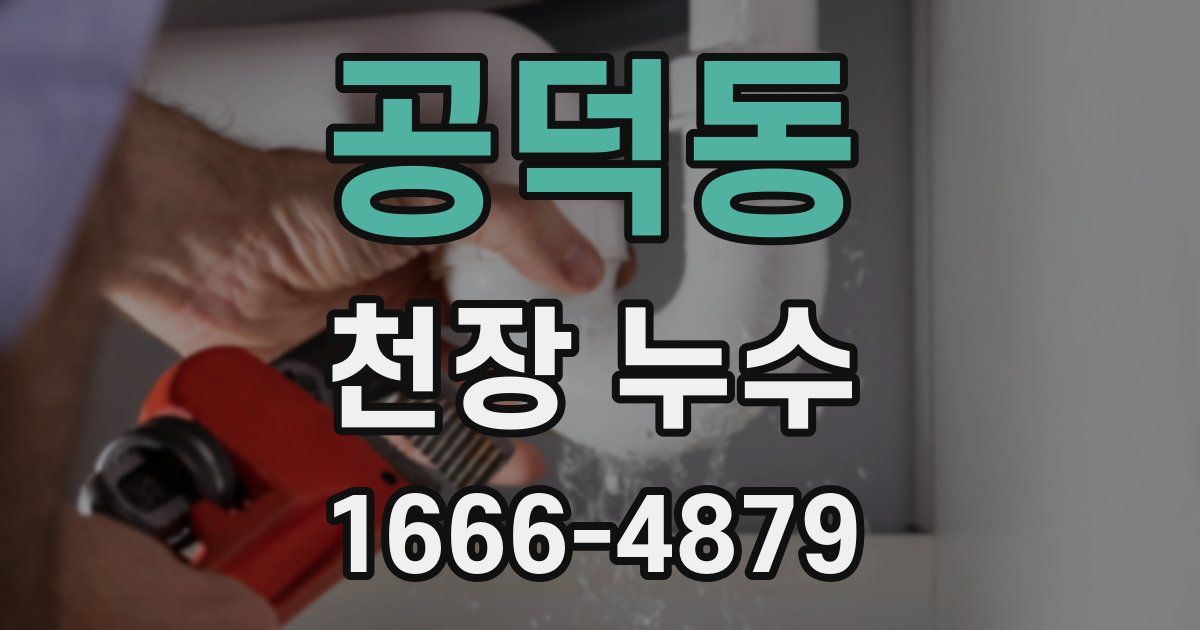 공덕동 천장 누수