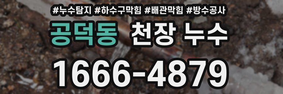 공덕동 천장 누수