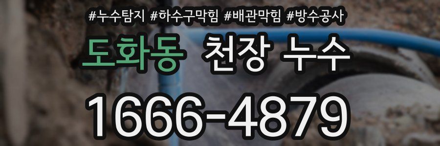 도화동 천장 누수