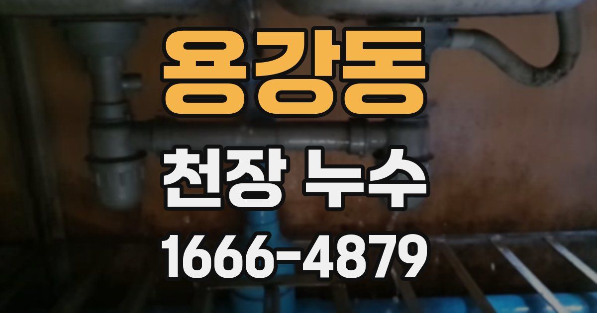 용강동 천장 누수