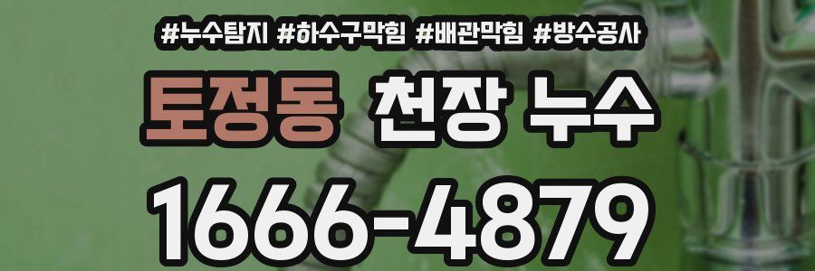 토정동 천장 누수