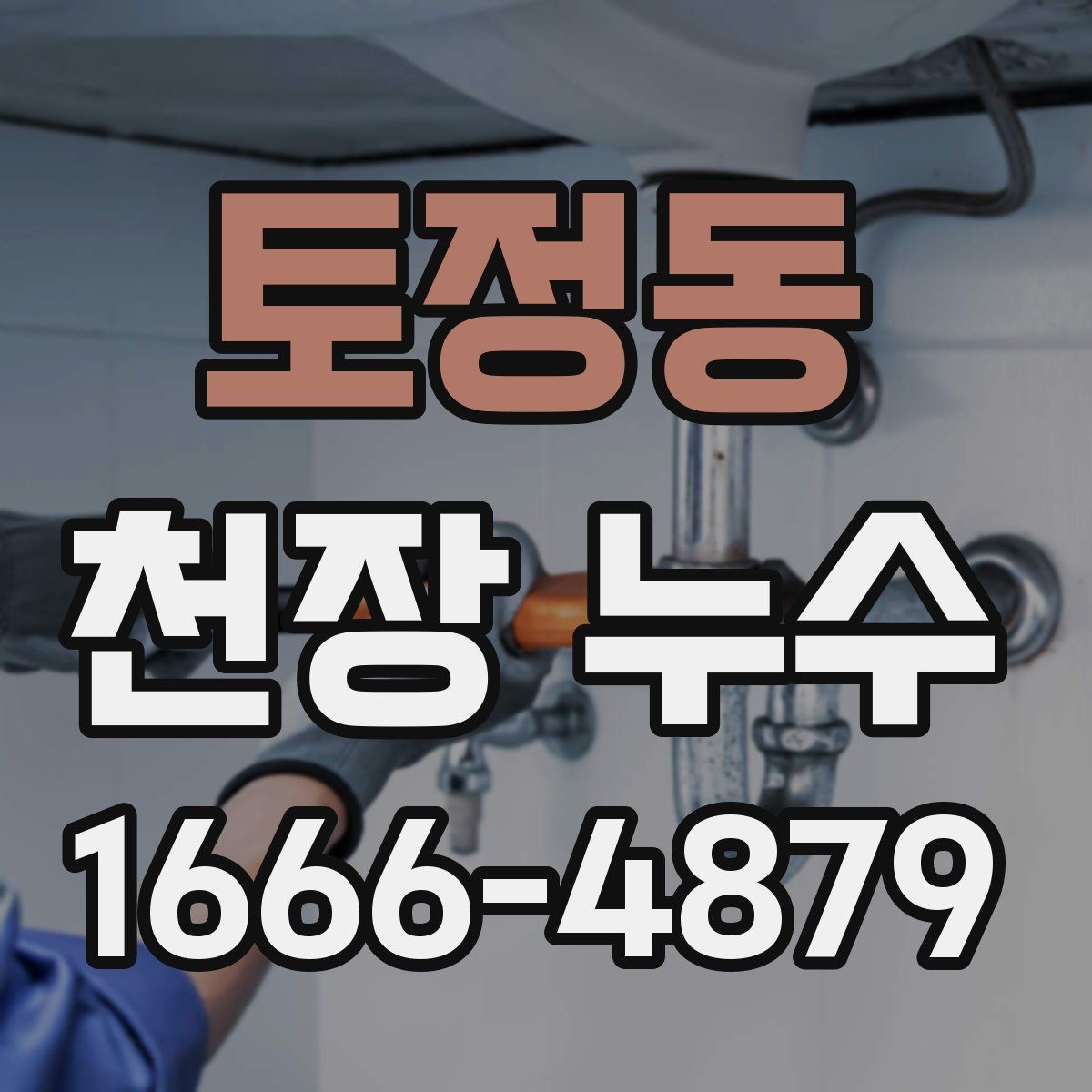 토정동 천장 누수