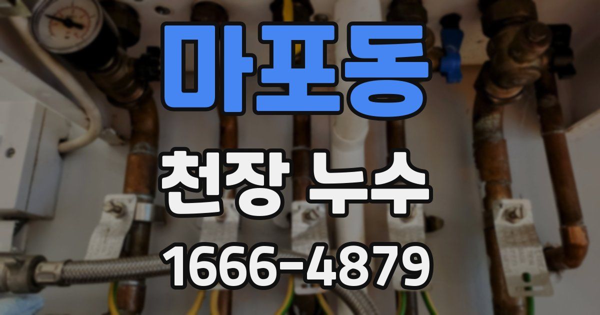 마포동 천장 누수