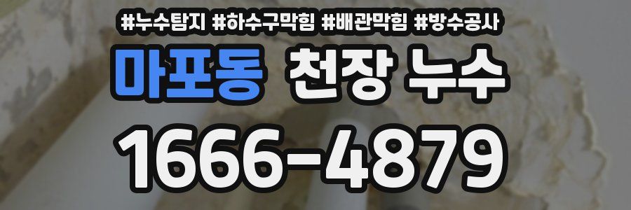 마포동 천장 누수