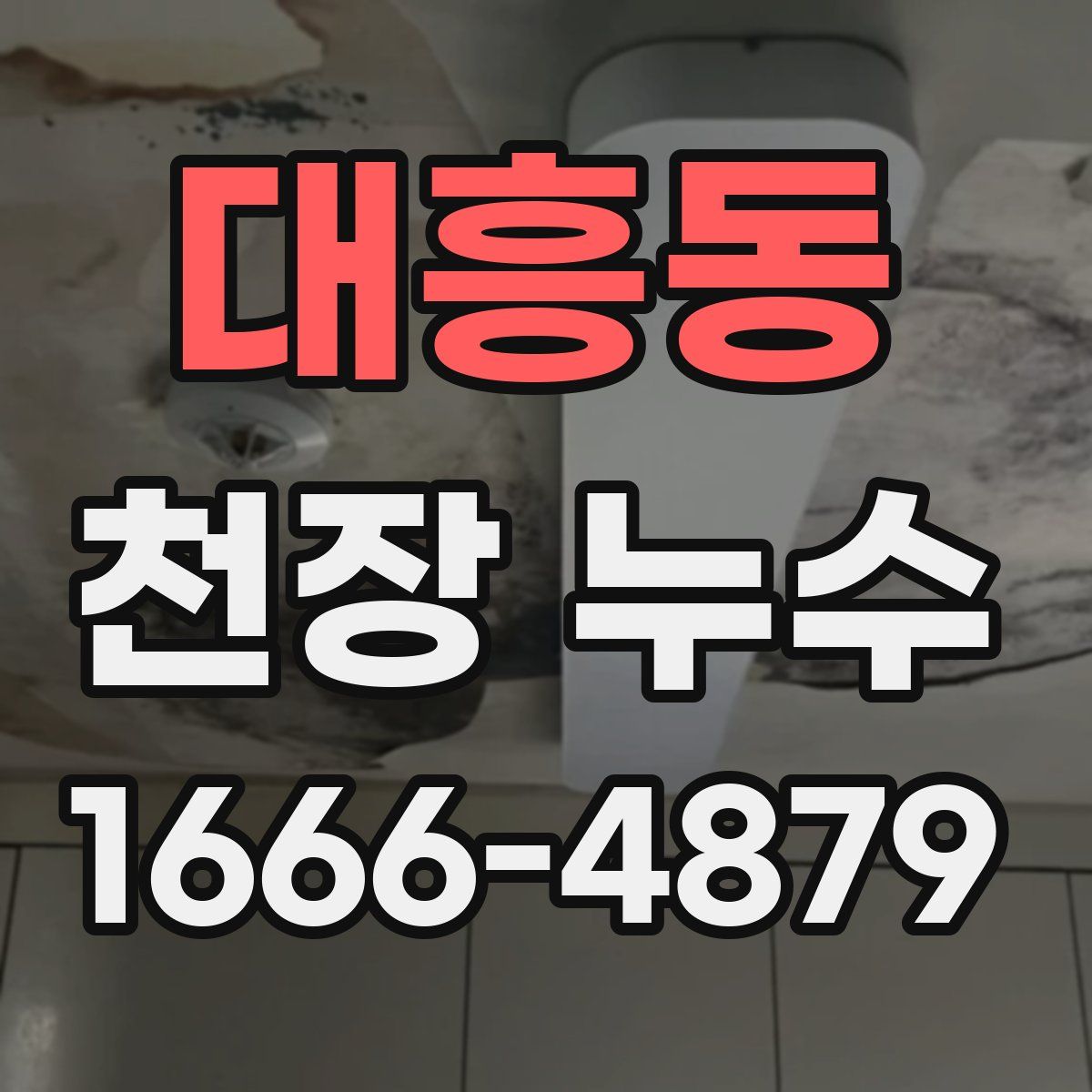 대흥동 천장 누수