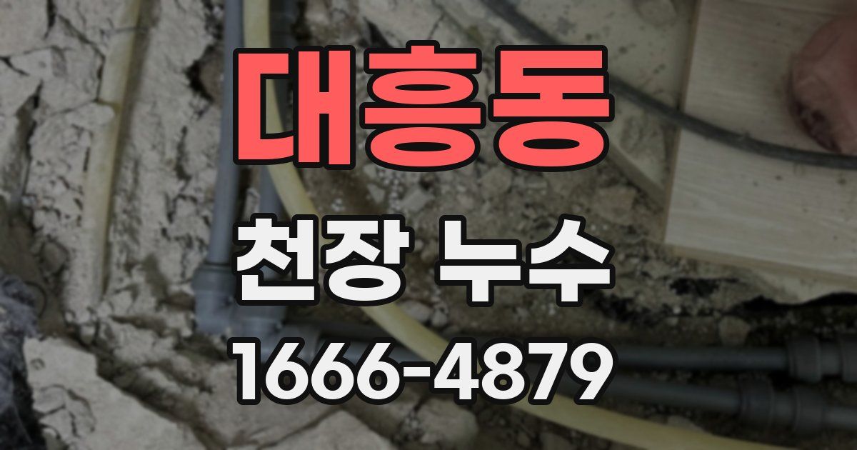 대흥동 천장 누수