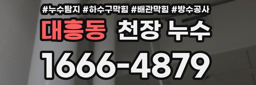 대흥동 천장 누수