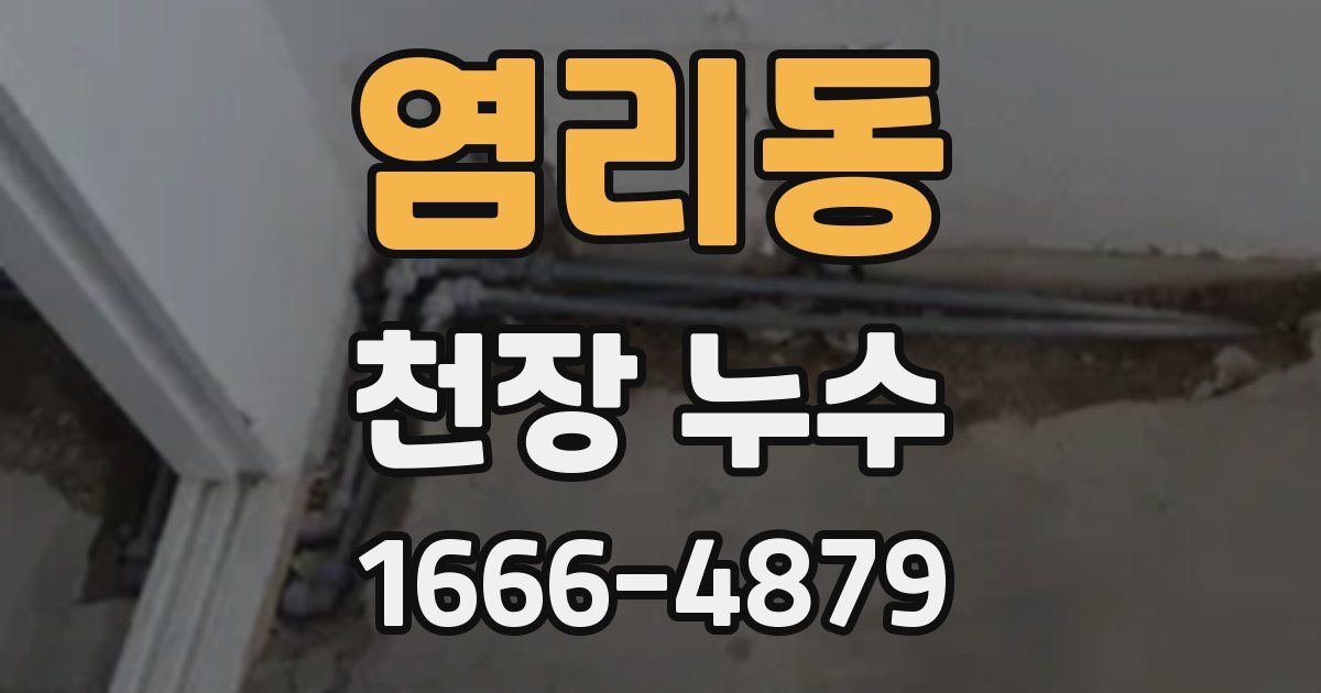 염리동 천장 누수