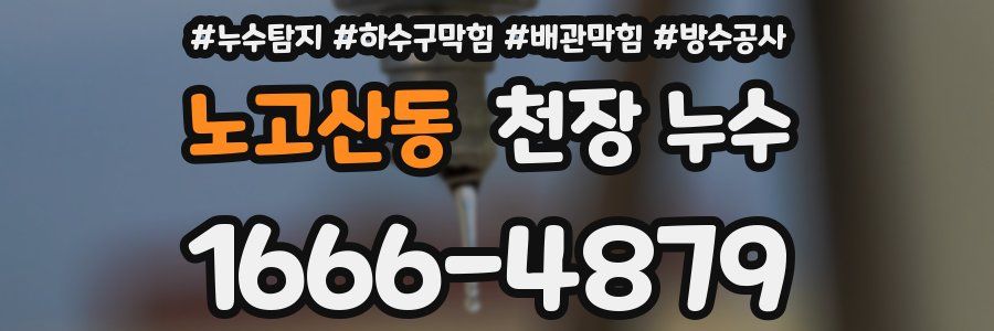 노고산동 천장 누수