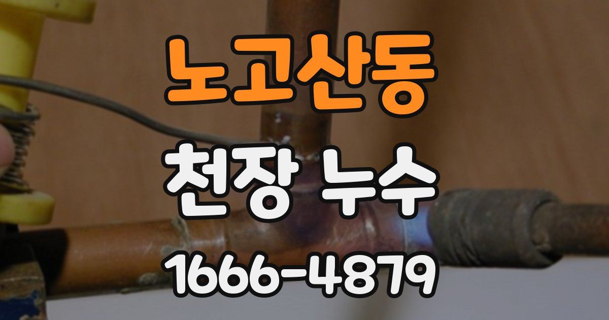 노고산동 천장 누수