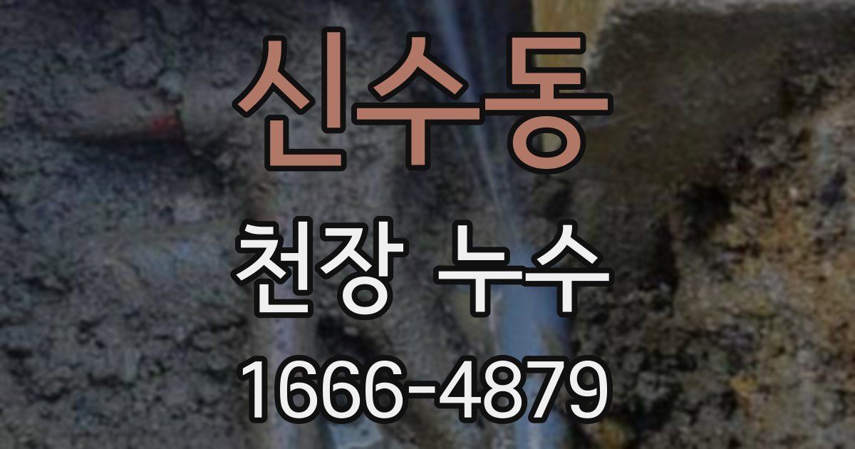 신수동 천장 누수