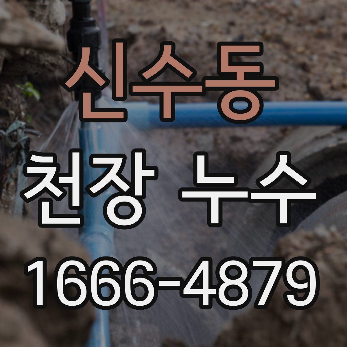 신수동 천장 누수
