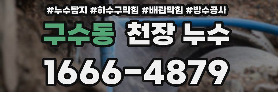 구수동 천장 누수