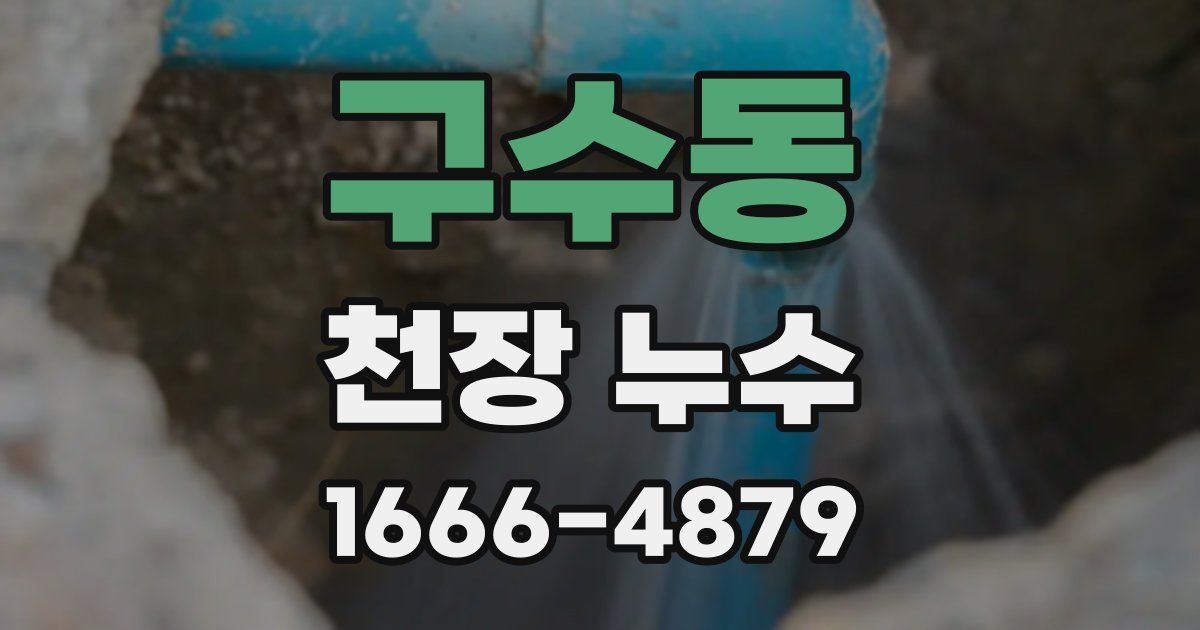 구수동 천장 누수