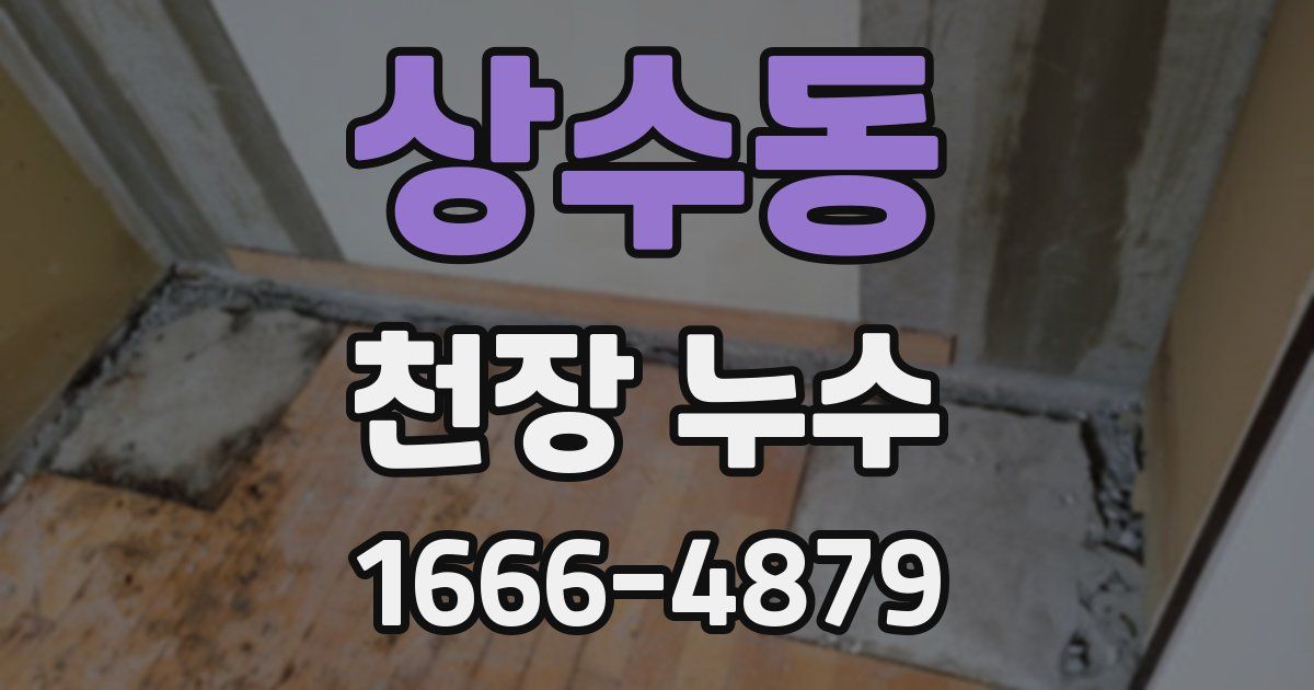 상수동 천장 누수