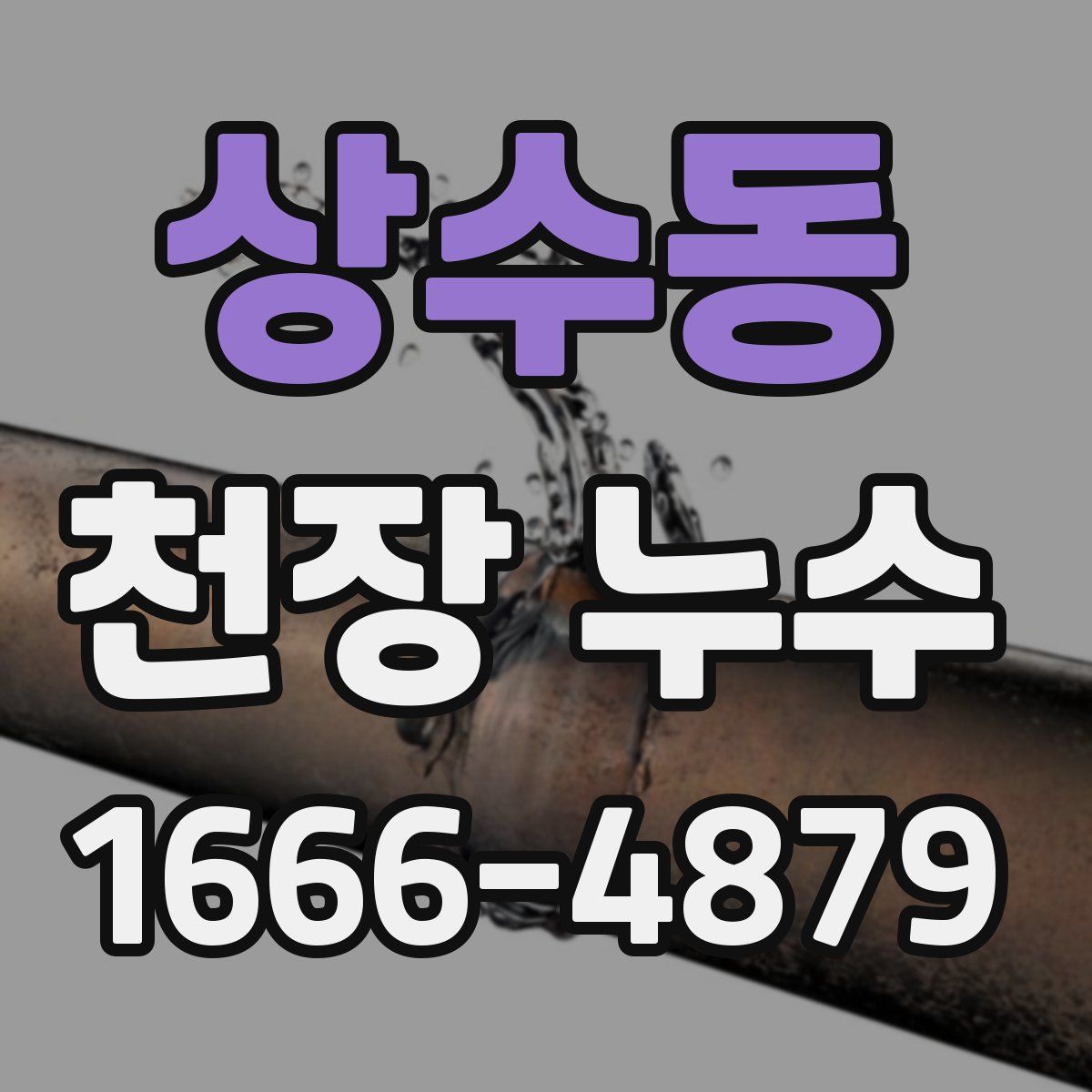 상수동 천장 누수