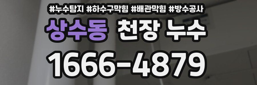 상수동 천장 누수