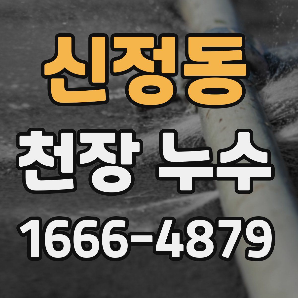 신정동 천장 누수