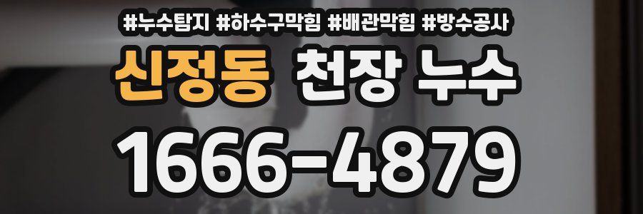 신정동 천장 누수