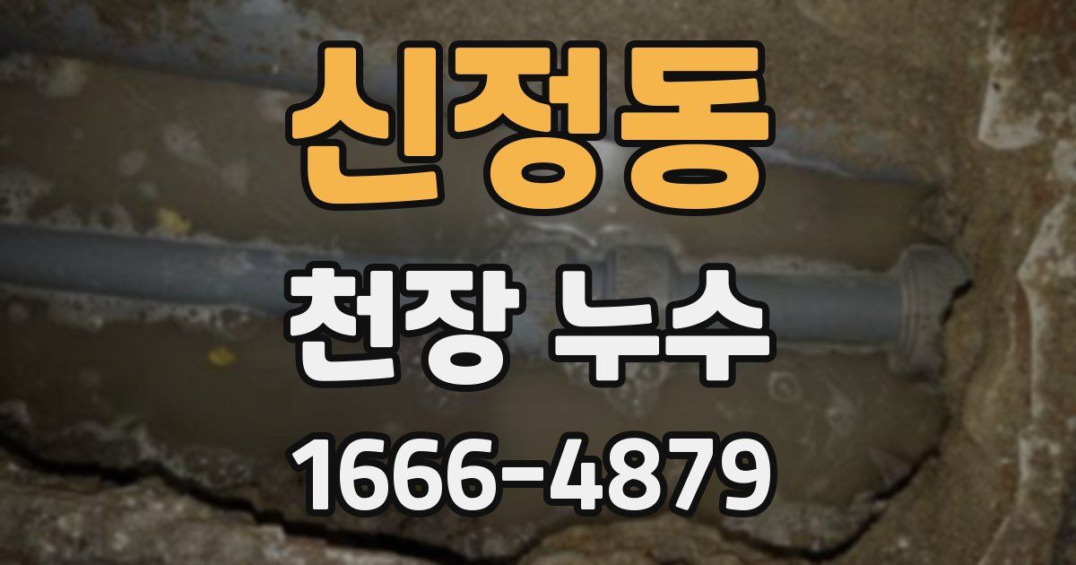신정동 천장 누수