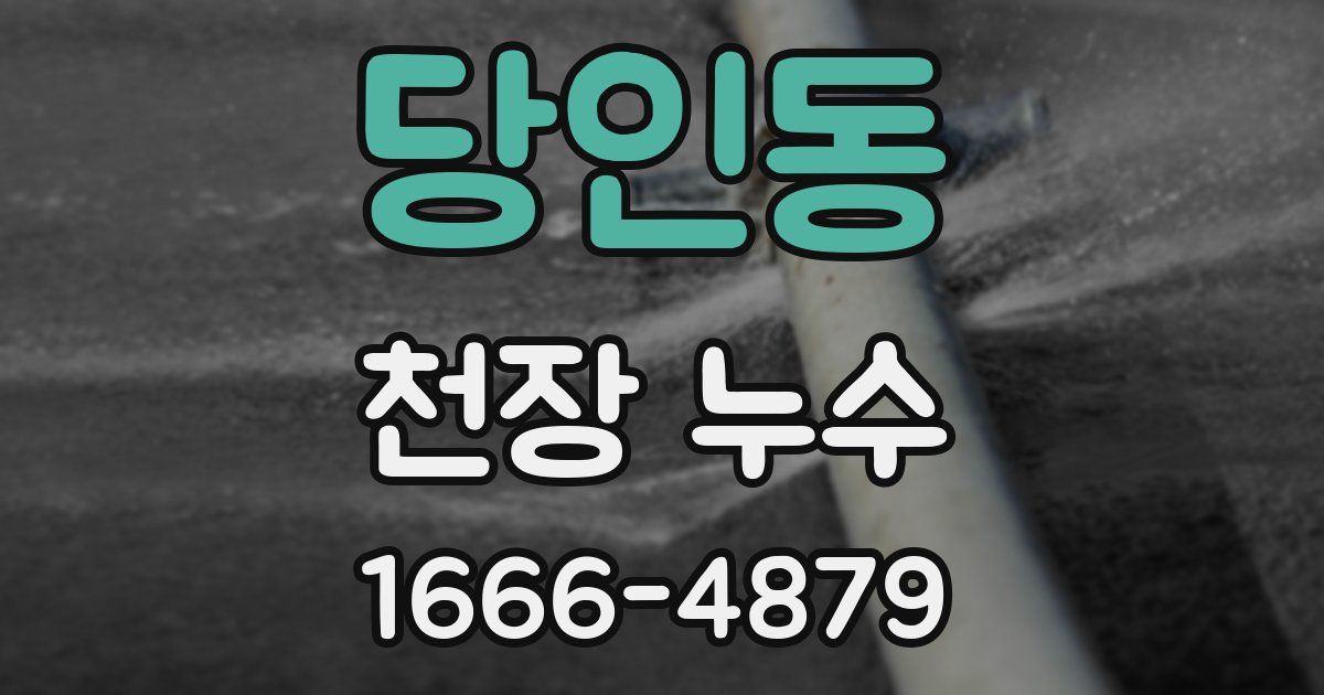 당인동 천장 누수