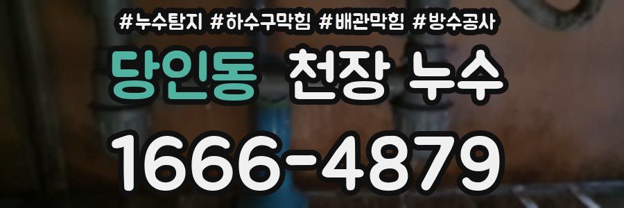 당인동 천장 누수