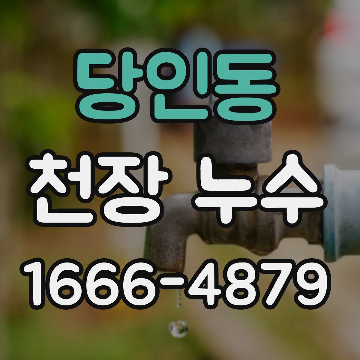 당인동 천장 누수