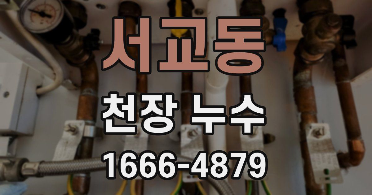 서교동 천장 누수