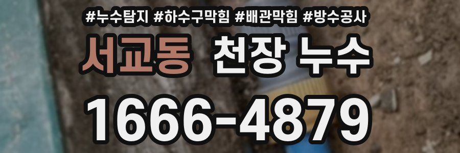서교동 천장 누수
