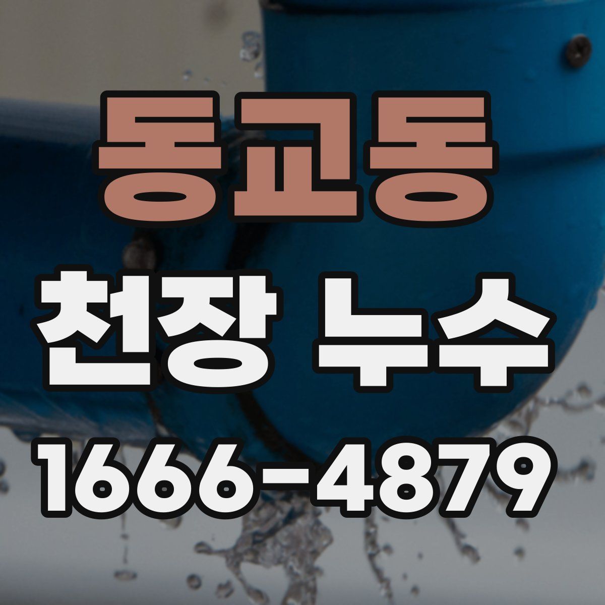 동교동 천장 누수