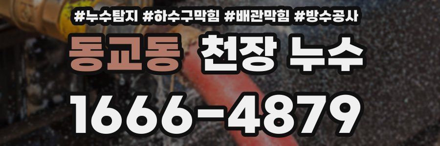 동교동 천장 누수