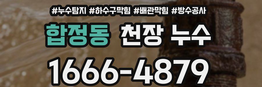 합정동 천장 누수