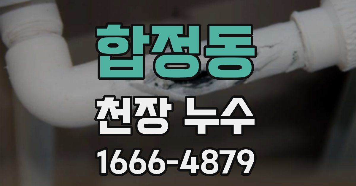 합정동 천장 누수