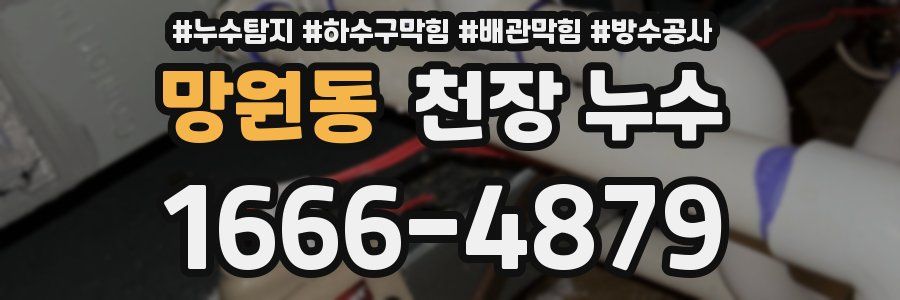 망원동 천장 누수