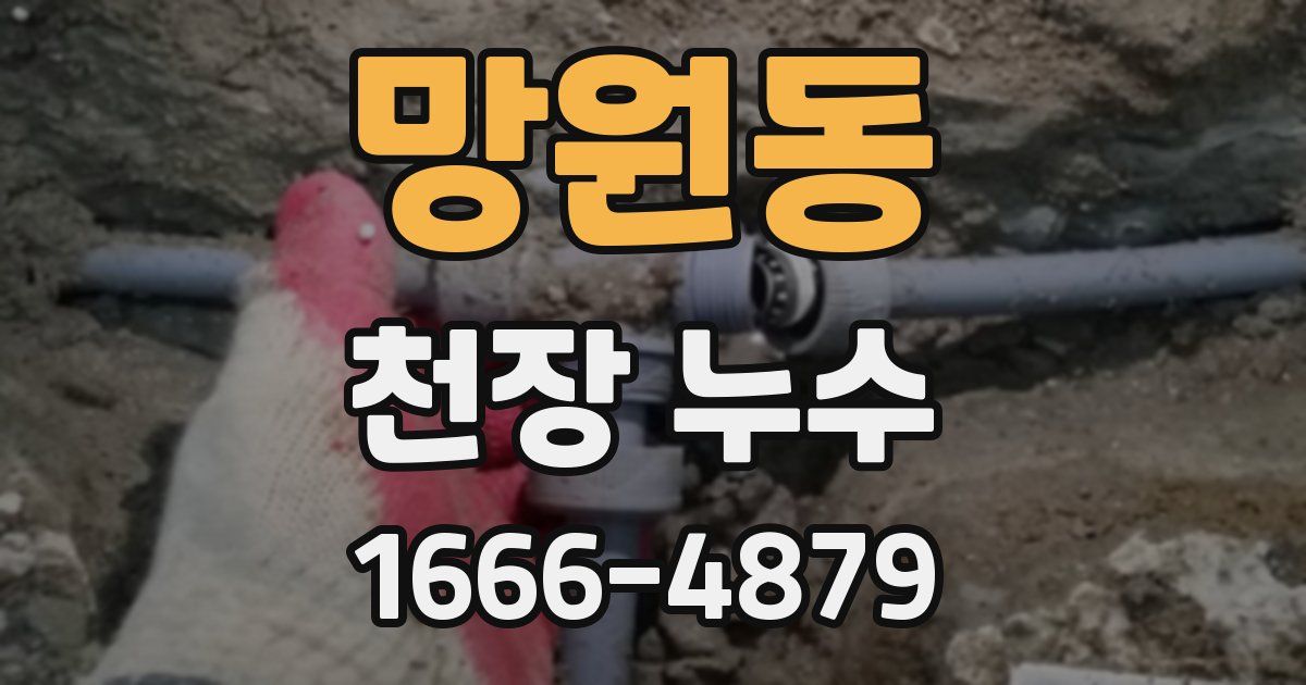 망원동 천장 누수