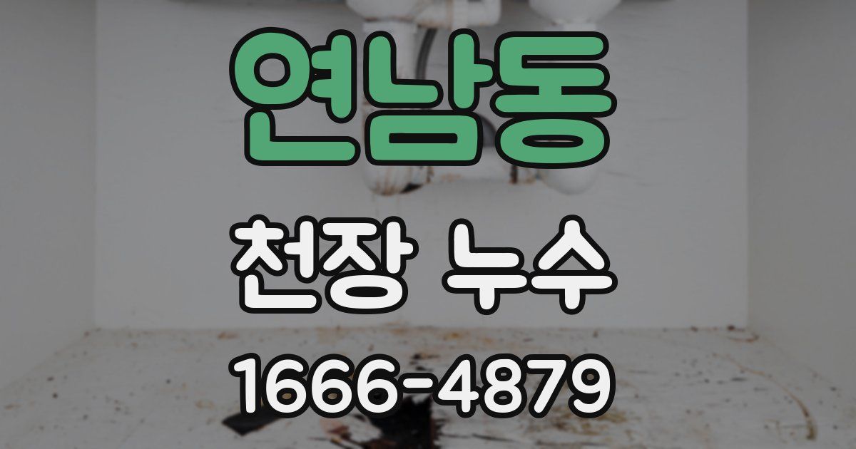 연남동 천장 누수
