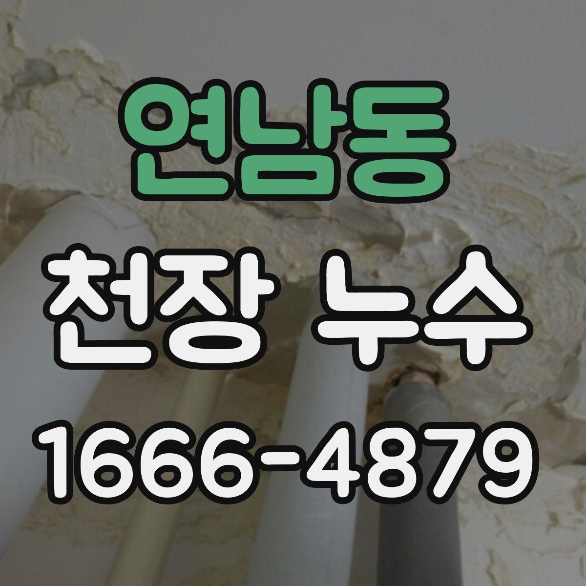 연남동 천장 누수