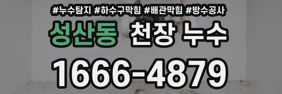 성산동 천장 누수