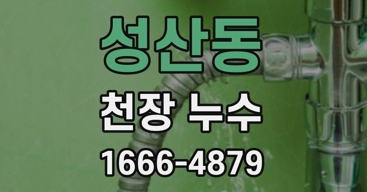 성산동 천장 누수