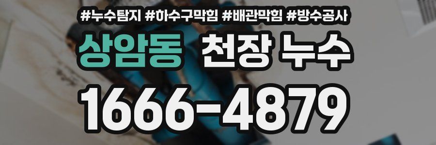 상암동 천장 누수