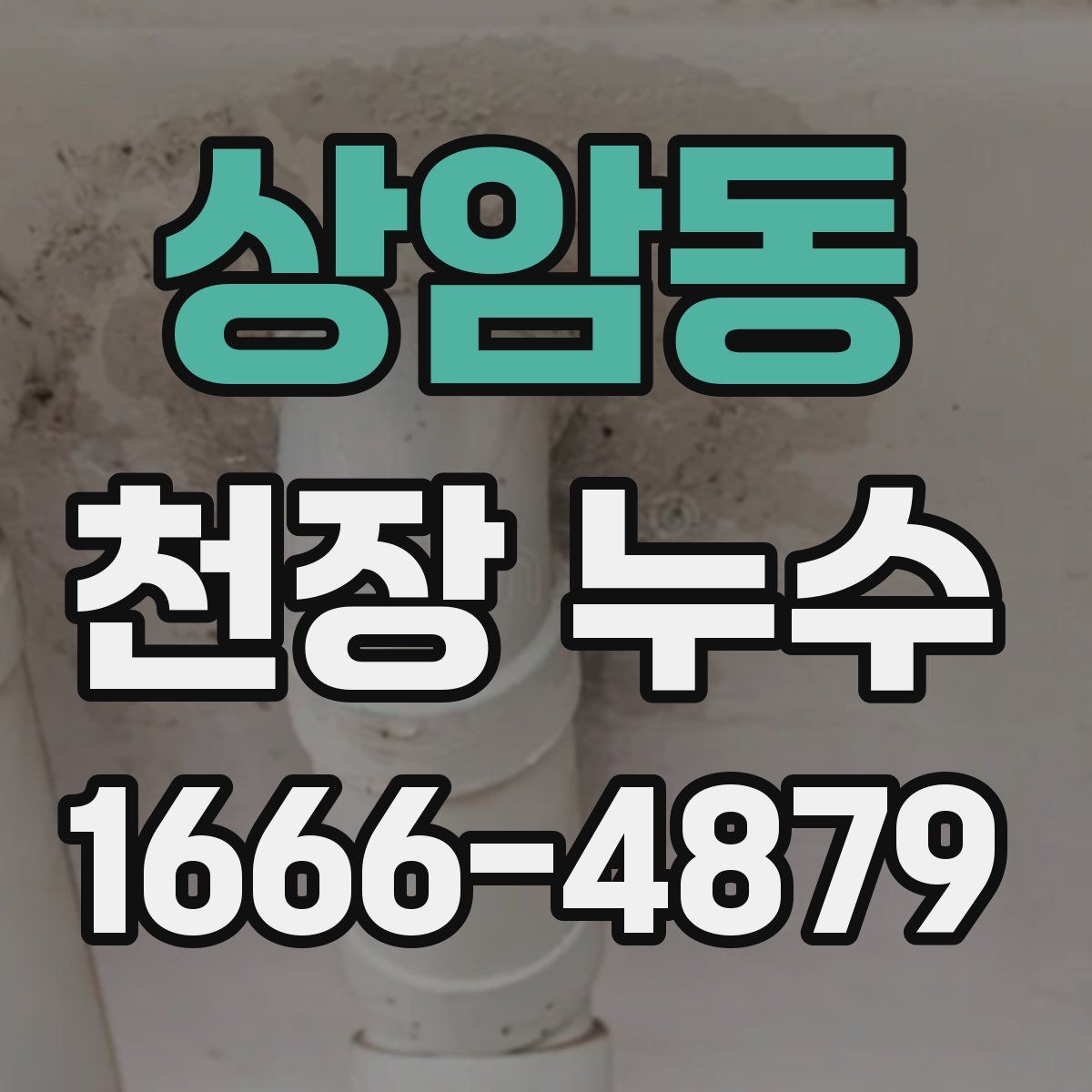 상암동 천장 누수