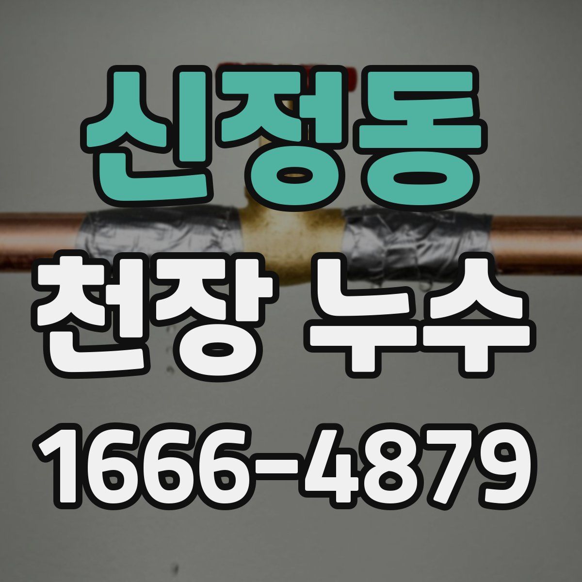 신정동 천장 누수