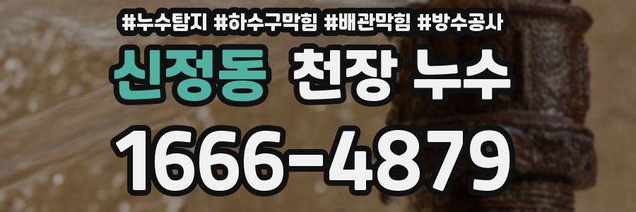 신정동 천장 누수