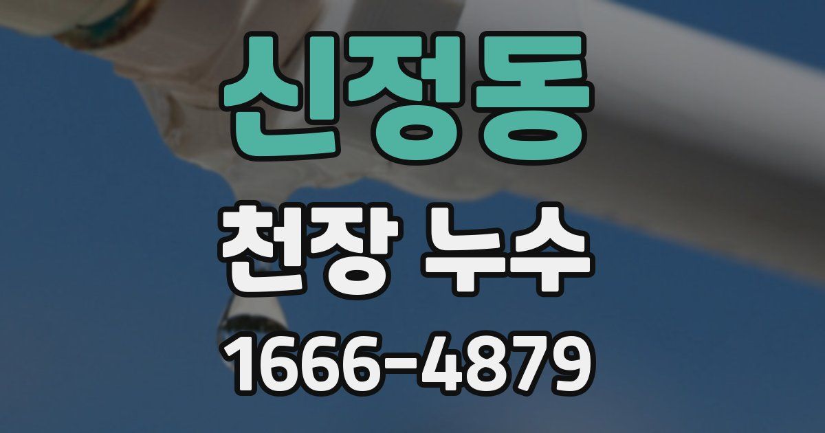 신정동 천장 누수